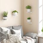 Haven Floating Shelves- 4 세트