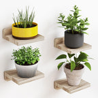 Haven Floating Shelves- 4 세트