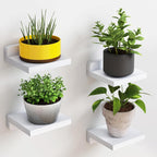 Haven Floating Shelves- 4 세트