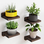 Haven Floating Shelves- 4 세트